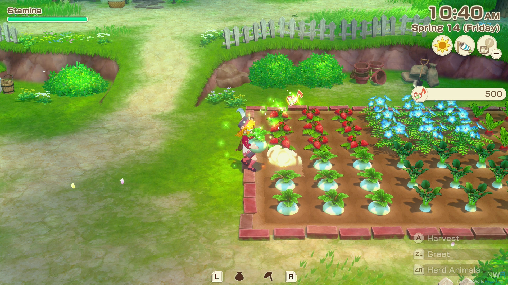 STORY OF SEASONS Grand Bazaar (NSP ROM) screenshot