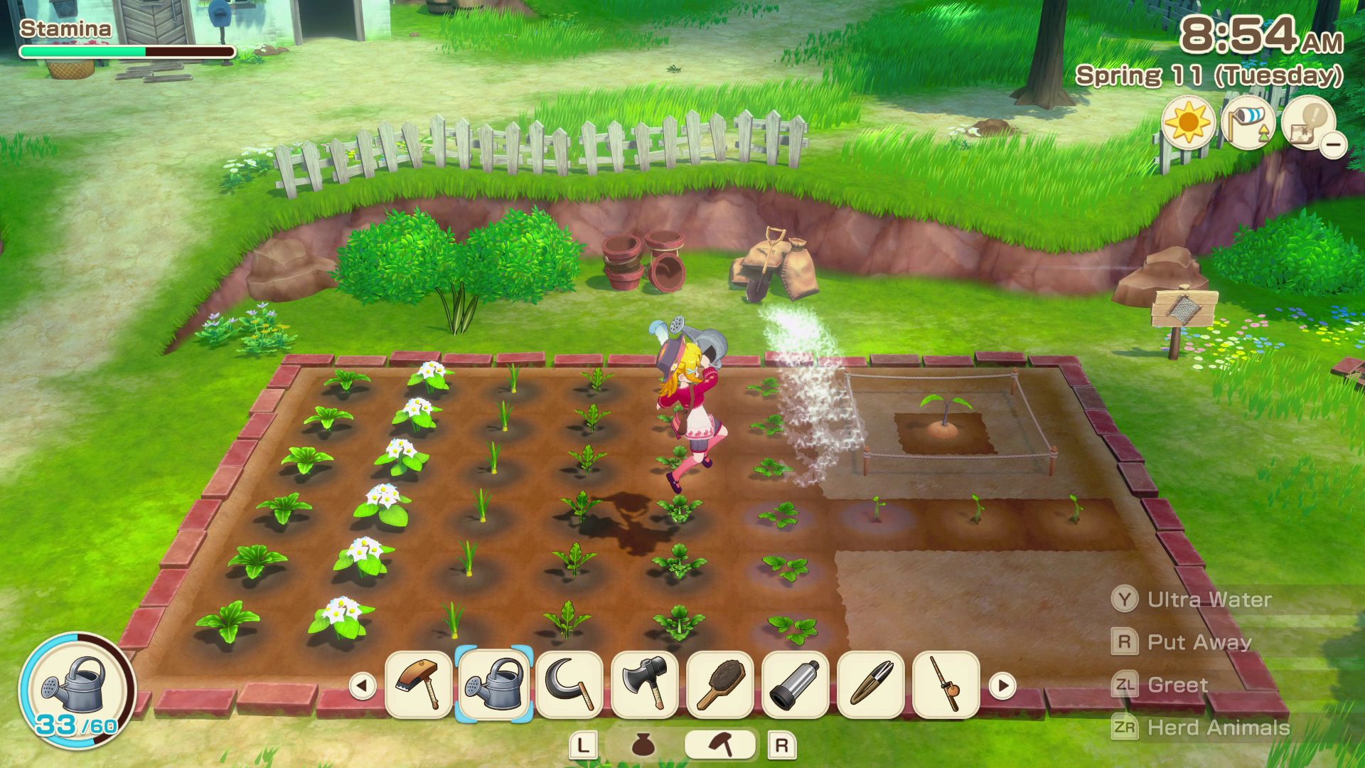 STORY OF SEASONS Grand Bazaar (NSP ROM) screenshot