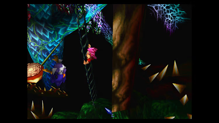اسکرین شات گیم پلی بازی Tomba 2 The Evil Swine Return Special Edition شماره 3 برای نینتندو سوییچ