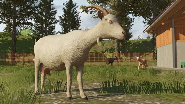 Farming Simulator 26: Nintendo Switch Edition-screenshot-4