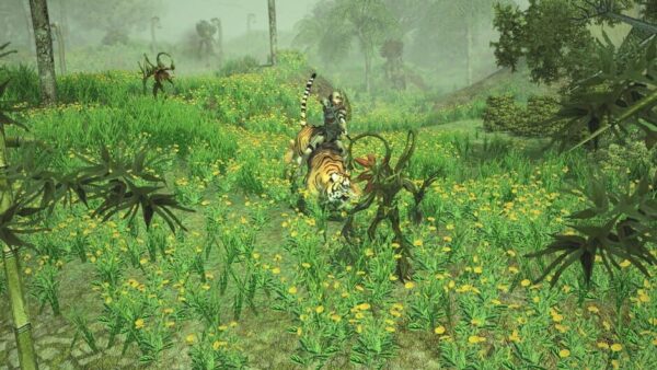 Sacred 2 Remaster-screenshot-5